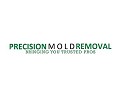 Precision Mold Removal Orlando